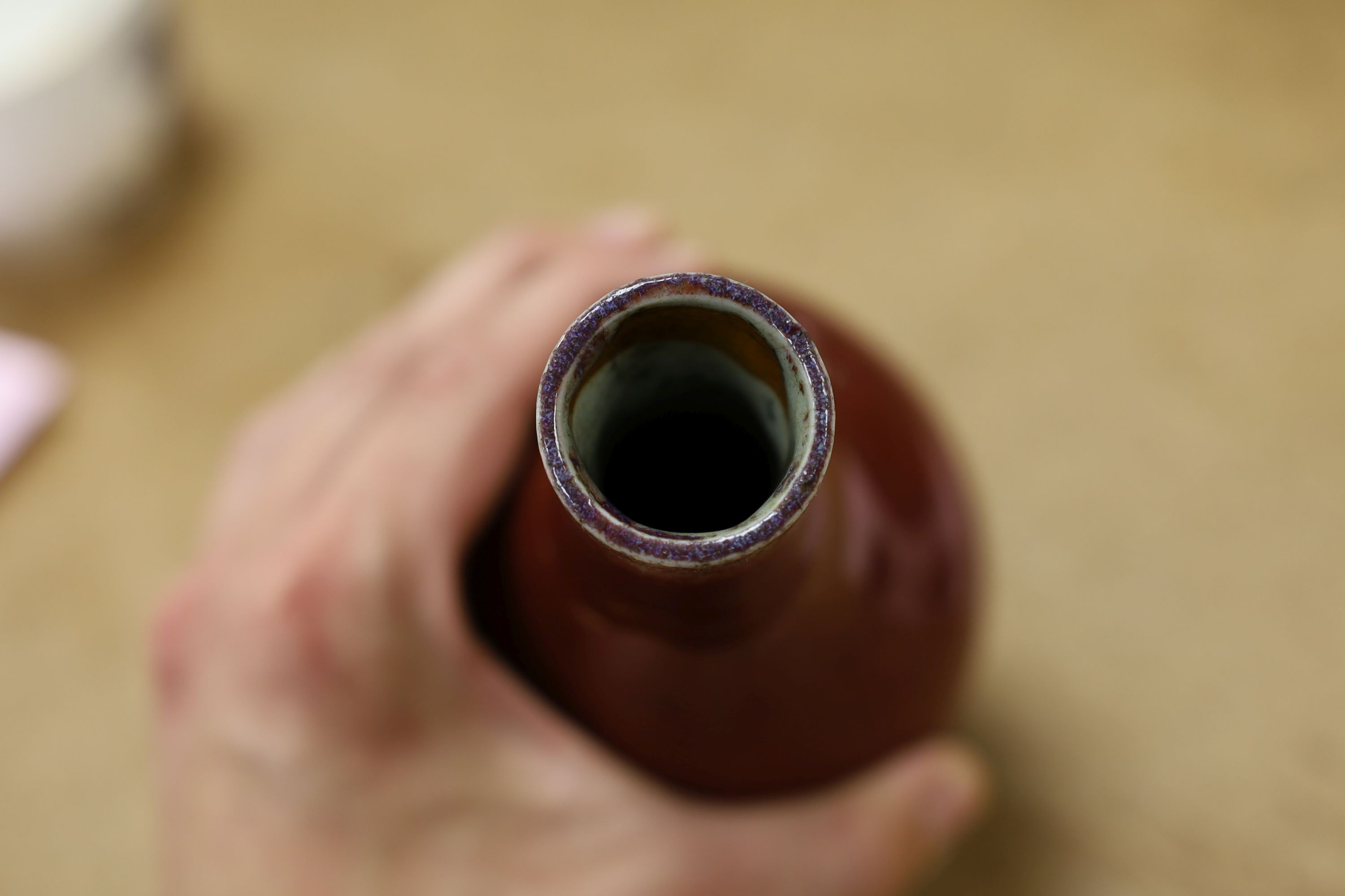 An 18th century Chinese Langyao sang-de-boeuf glazed bottle vase, 20cm